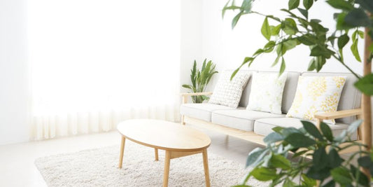 Quel blanc appliquer dans son salon ?
