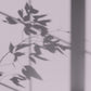 Algo Eco-Friendly Paint - Mauve Sky