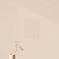 Échantillon Nuancier Beige Nude