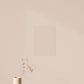 Échantillon Nuancier Beige Sable