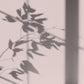 Algo Eco-Friendly Paint - Powder Pink