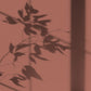 Algo Eco-Friendly Paint - Ochre Trail