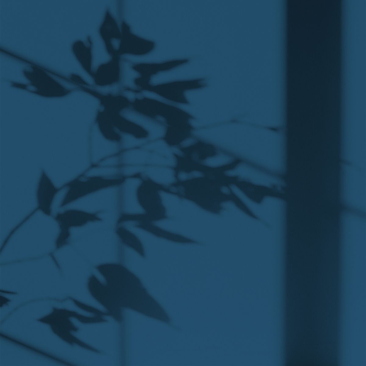 Peinture écologique Algo - Bleu Abysse