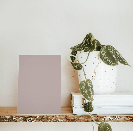 Échantillon Nuancier Brun Rosé