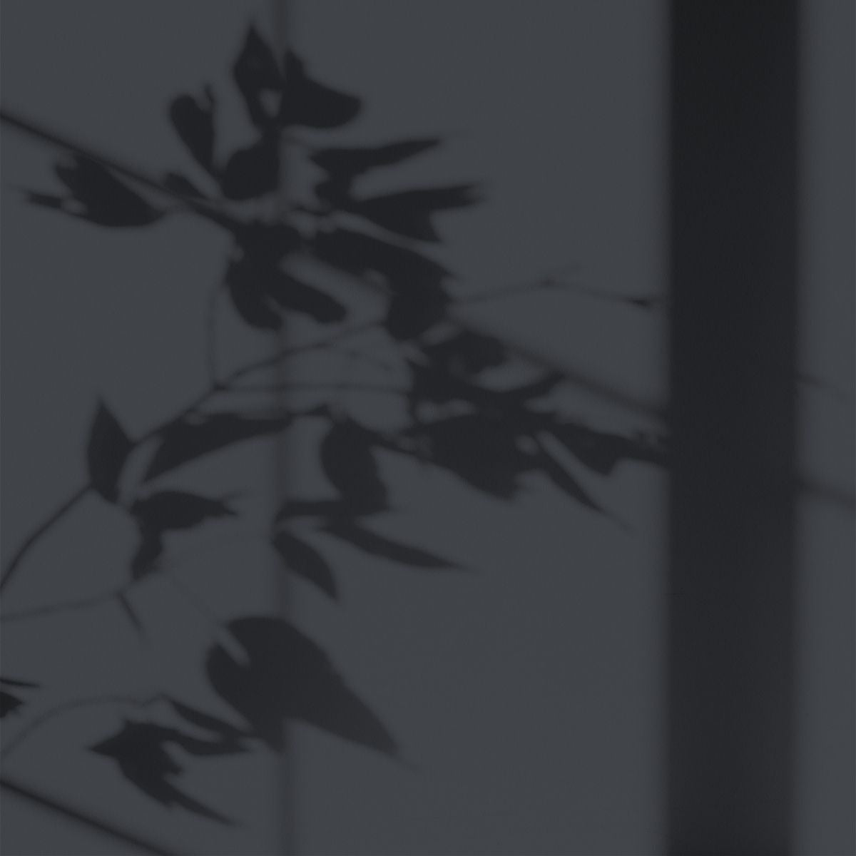 Peinture écologique Algo - Ciel noir d'été