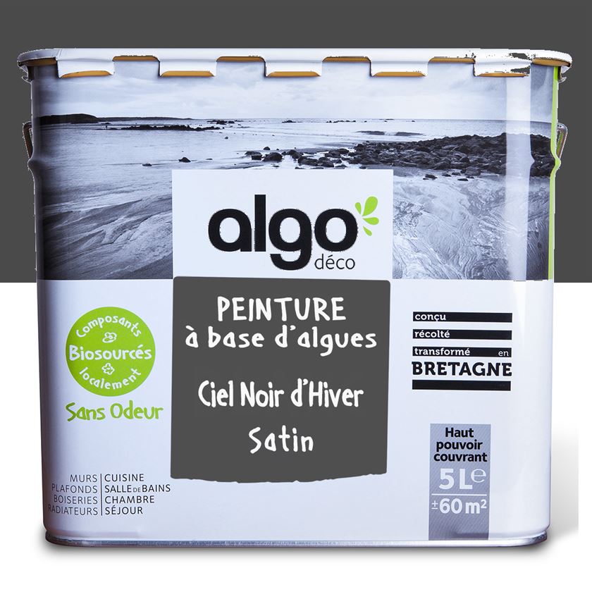 Peinture écologique Algo - Ciel noir d'hiver