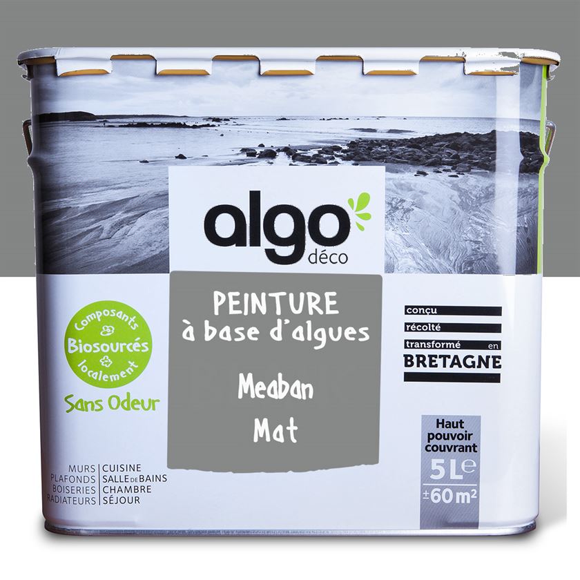 Algo ecological paint - Méaban Grey