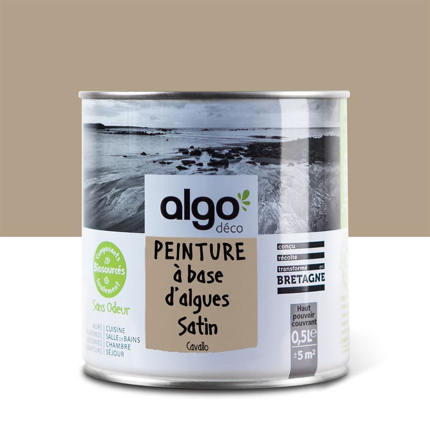 Algo Eco-Friendly Paint - Cavallo Brown