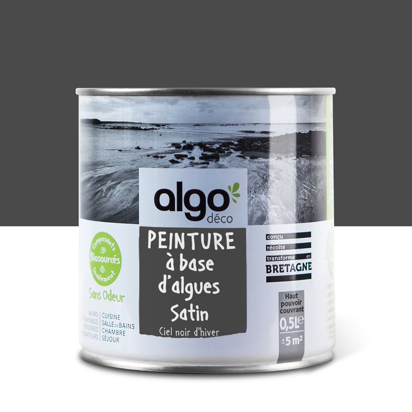 Peinture écologique Algo - Ciel noir d'hiver