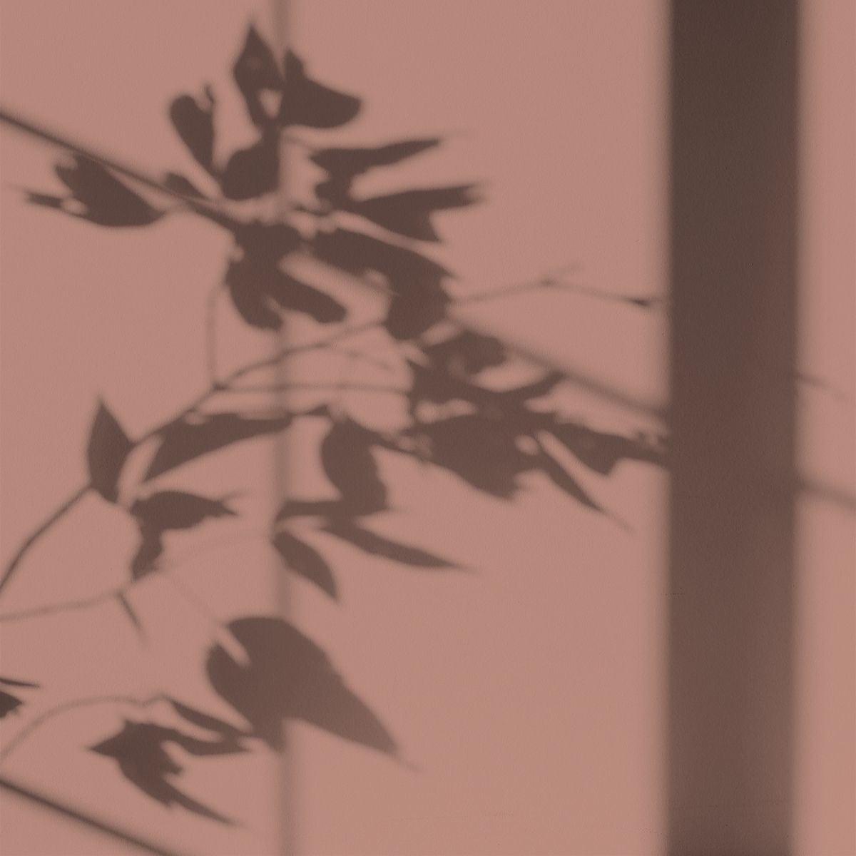 Peinture écologique Algo - Rose Bréhat