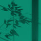 Peinture écologique Algo - Vert Algue
