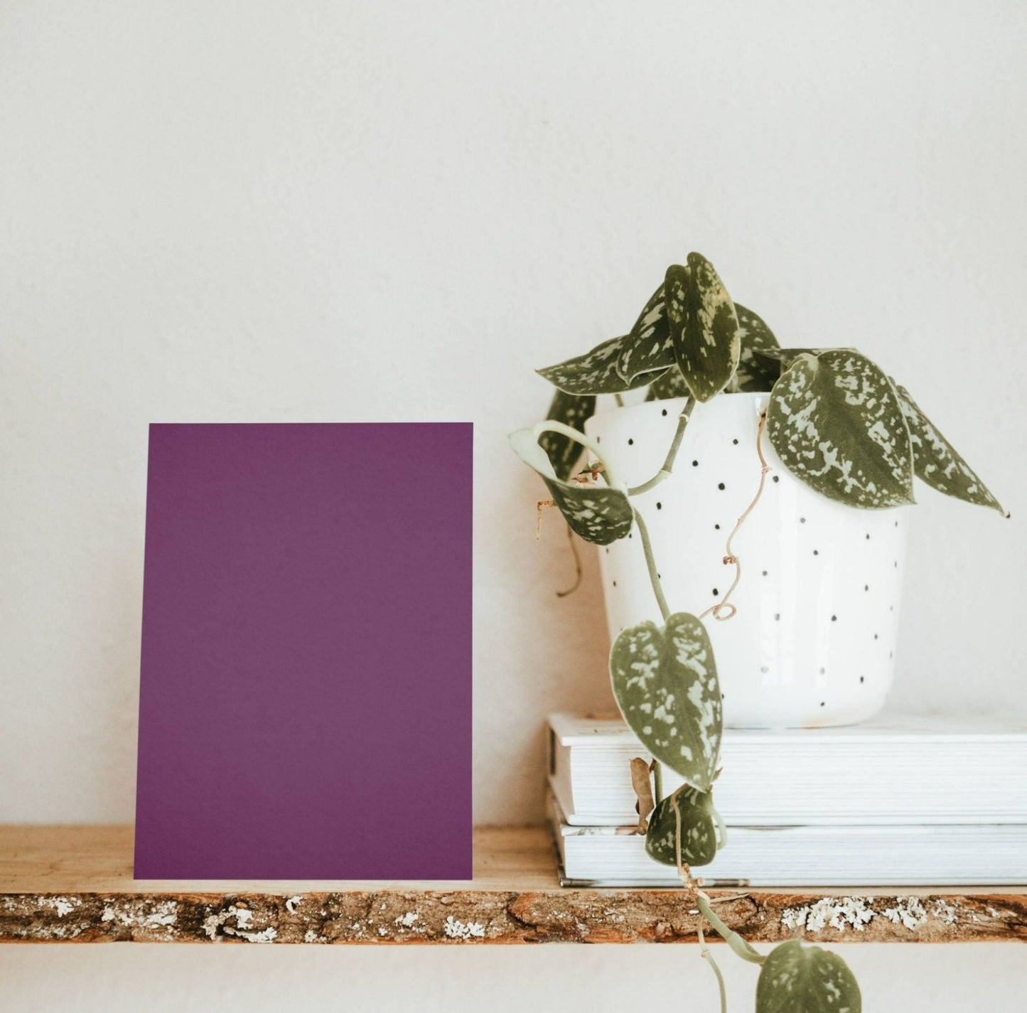 Échantillon Nuancier Violet aubergine